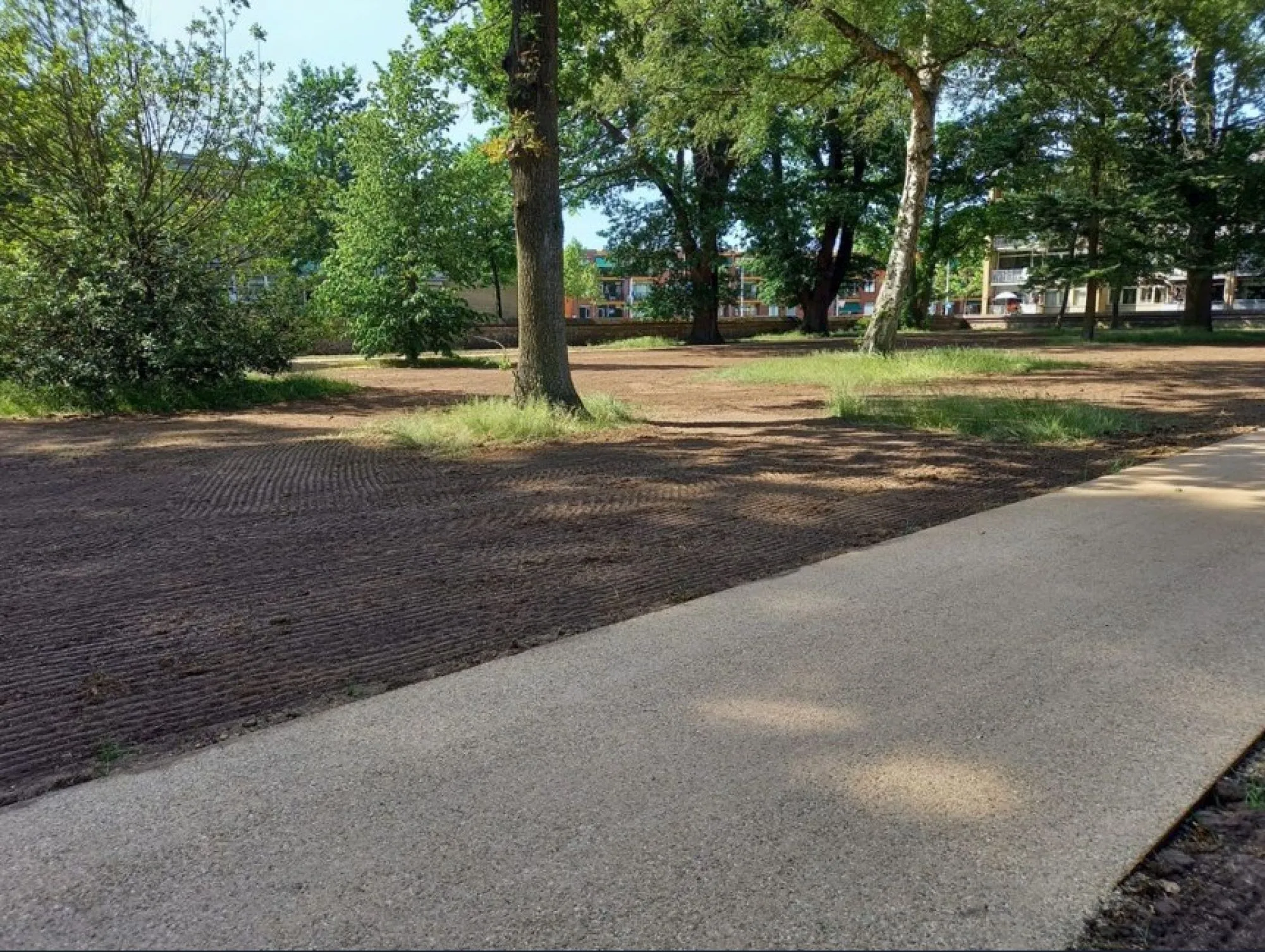 Achterhoeks Padvast kopen